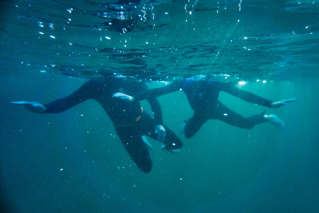 an immersive experience